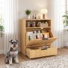Dog Feeding Station with Storage, Hidden Pet Feeding Station with 2 Elevated Bowls, Tilt Out Storage Cabinet