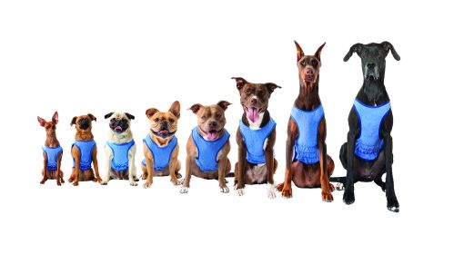 GF Pet Elasto-Fit Ice Vest - Blue (size: XS)